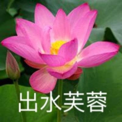 神都夜行录b站版下载